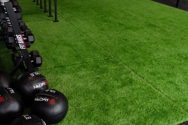 Proyectos Fiteq: BPM Calistenia